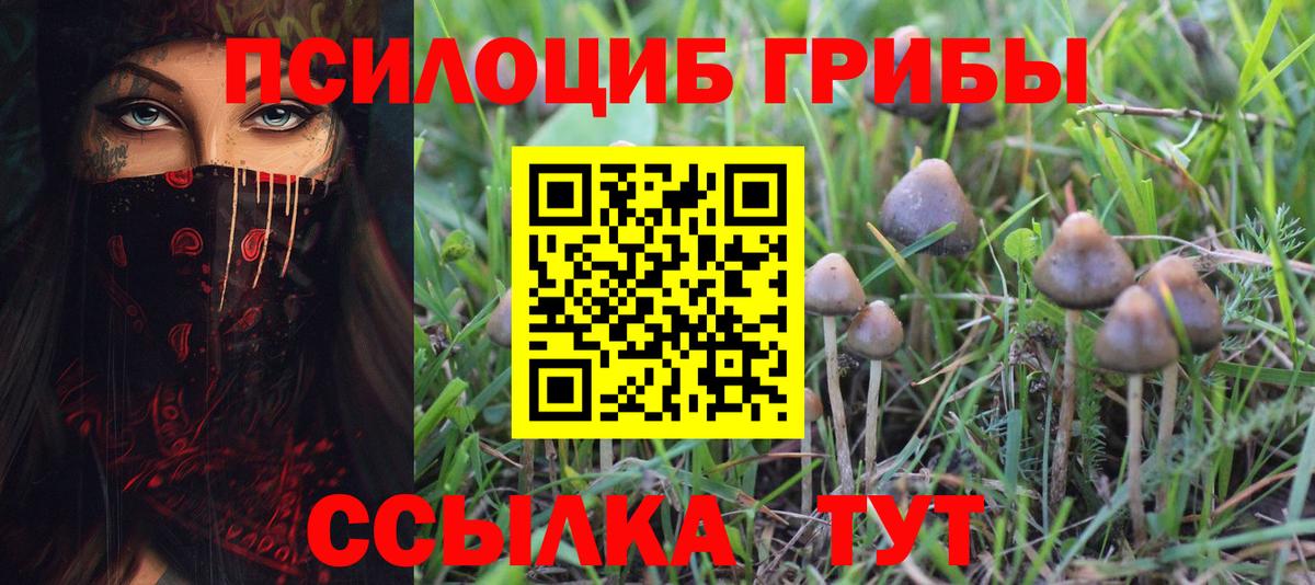 Галлюциногенные грибы Magic Shrooms Нижний Тагил